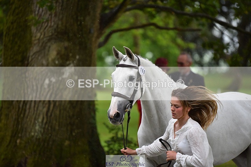 240522-161208-00776 - 160-WESTWOOD_II-Tara_Kay