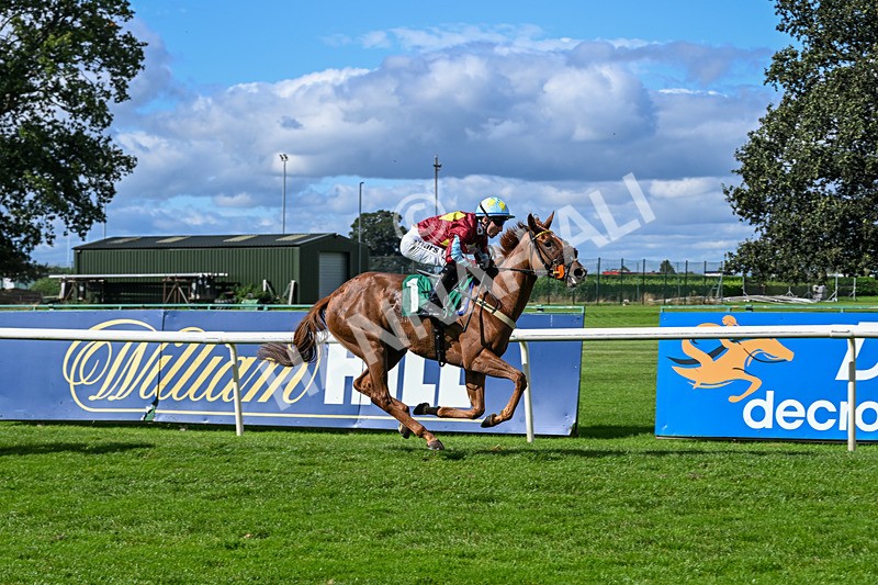 140926-Race 1-Satyress-6643 - Race 1 2.21pm Constant Security Services Apprentice Handicap