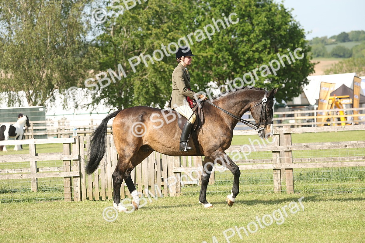 SBM_10238 - Class 33-38 - SSADL RIHS Qualifiers