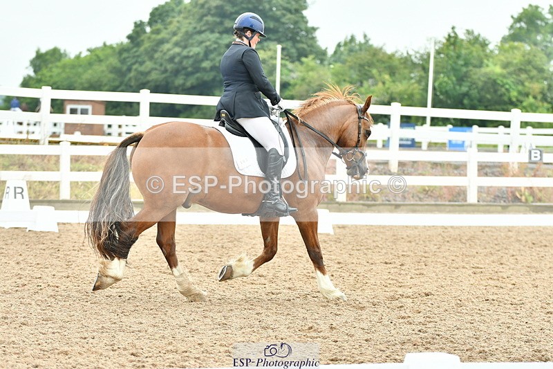 230708A-135155-02853 - Elementary 43