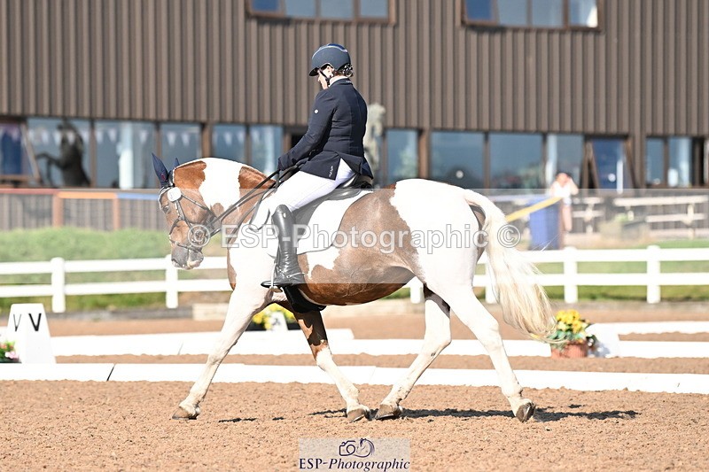 240816A-164811-06268 - 307-Rachel.Cook-Tiger.lily.vi