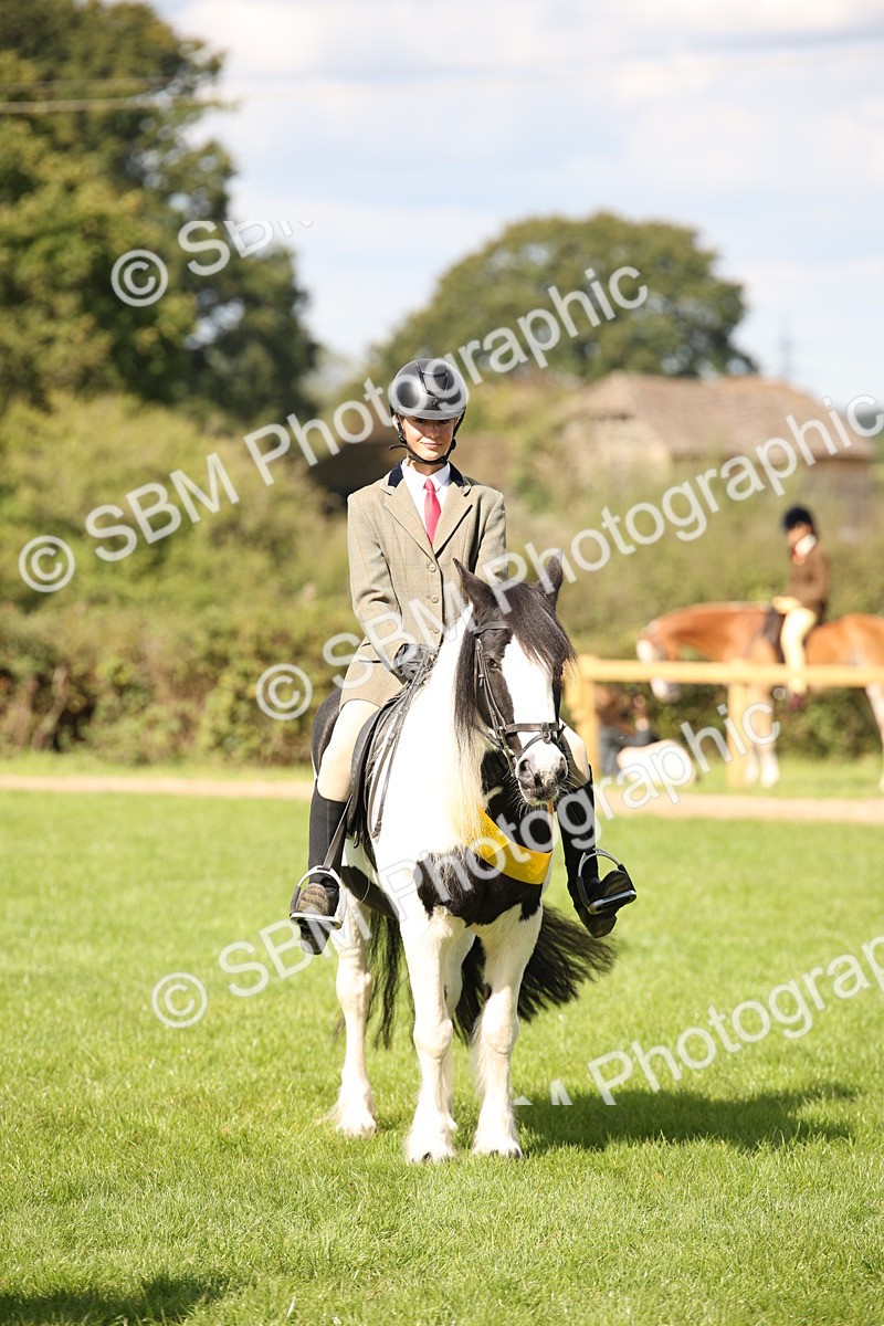 SBM_40909 - Fun Showing Supreme Championship