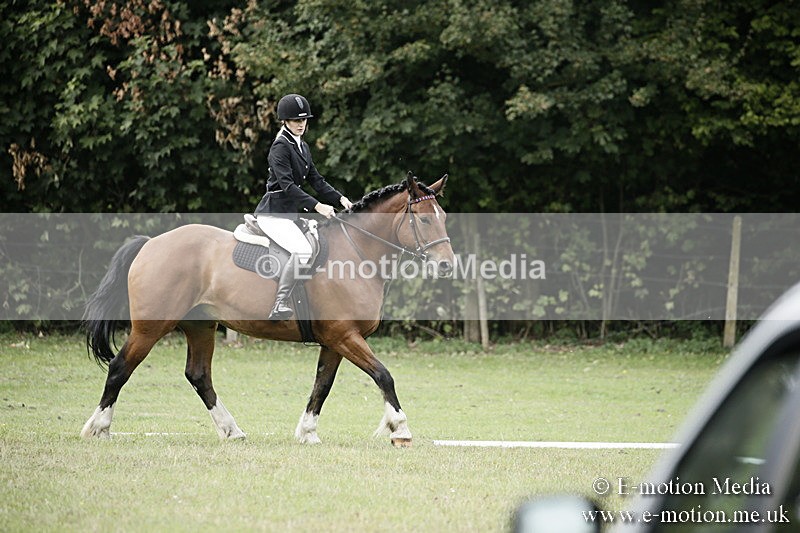 BVR080918 32 - BVRC Novice Dressage & CR 08/09/18