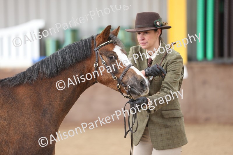 20251109-0654 - Class 22 - Geldings 4 Years and over