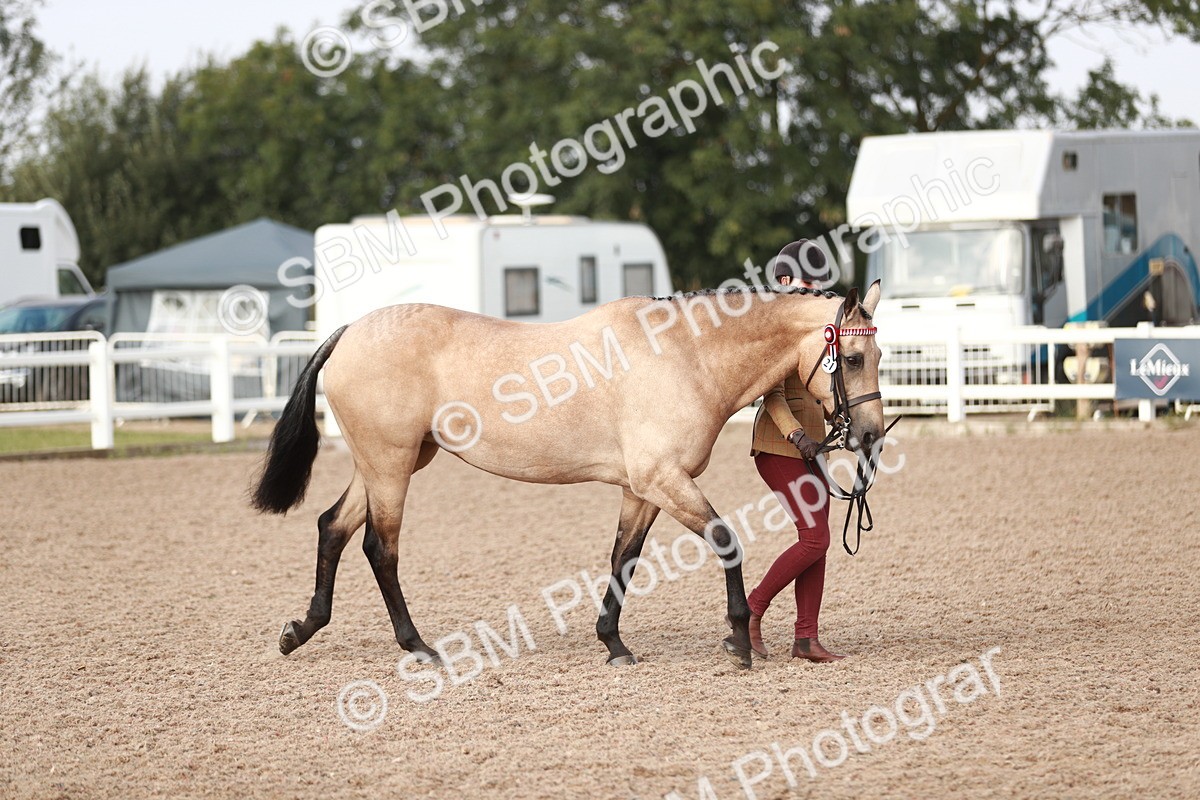 SBM_10495 - Class 204 Young Handler, 11-16 years