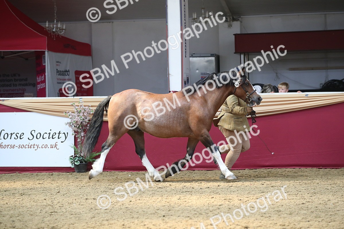 SBM_15219 - Class 501 M&M IH Supreme Final