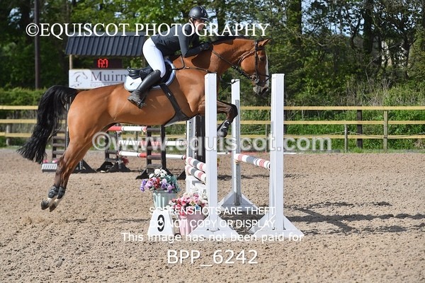 BPP_6242 - CLASS 32 MON Club/ Unaffiliated 80cms Open