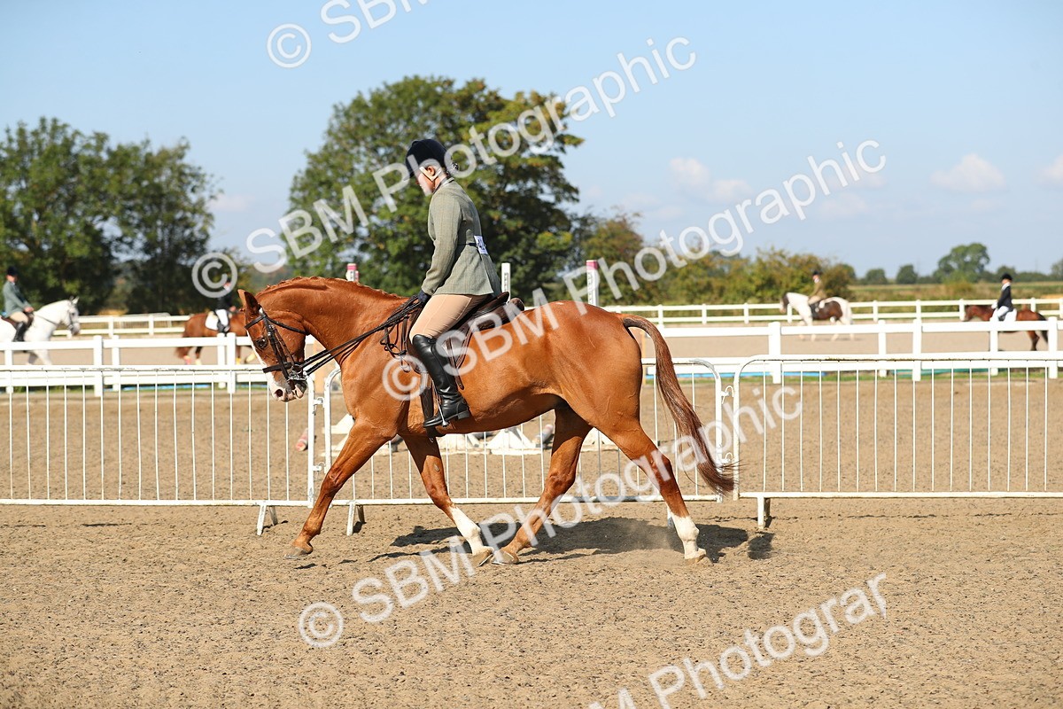 SBM_02245 - Class 43 Ridden Competition Horse/Pony