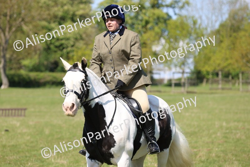 20250427-2580 - Class 20 - Working Hunter Ponies