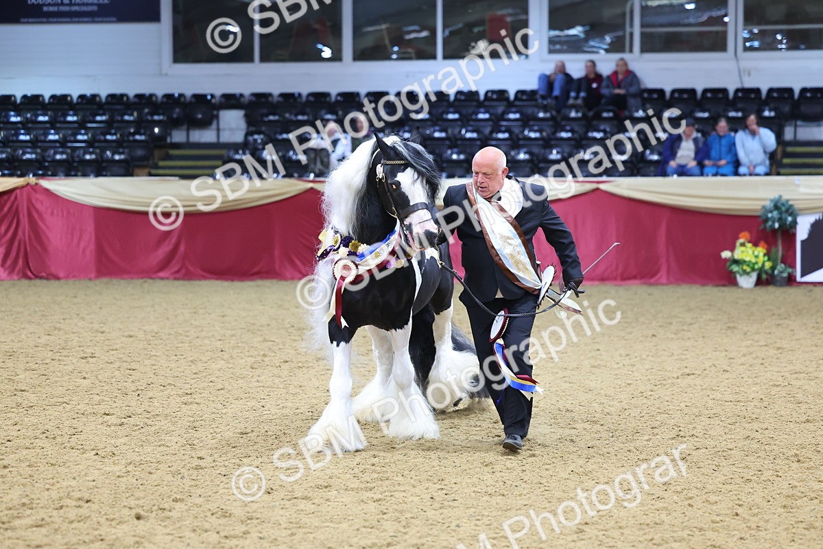 SBM_18664 - Class C Best Turned Out Champ