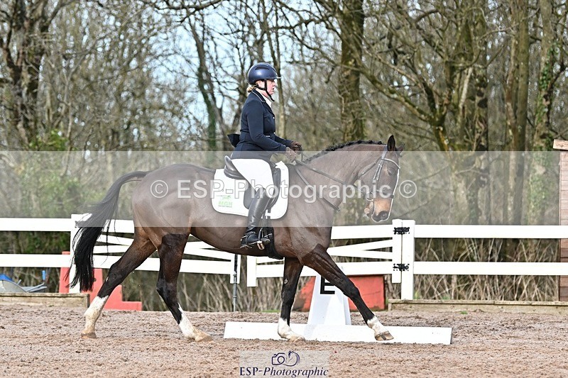 250125-131942-00610 - Dressage - CT Class 6 BE102