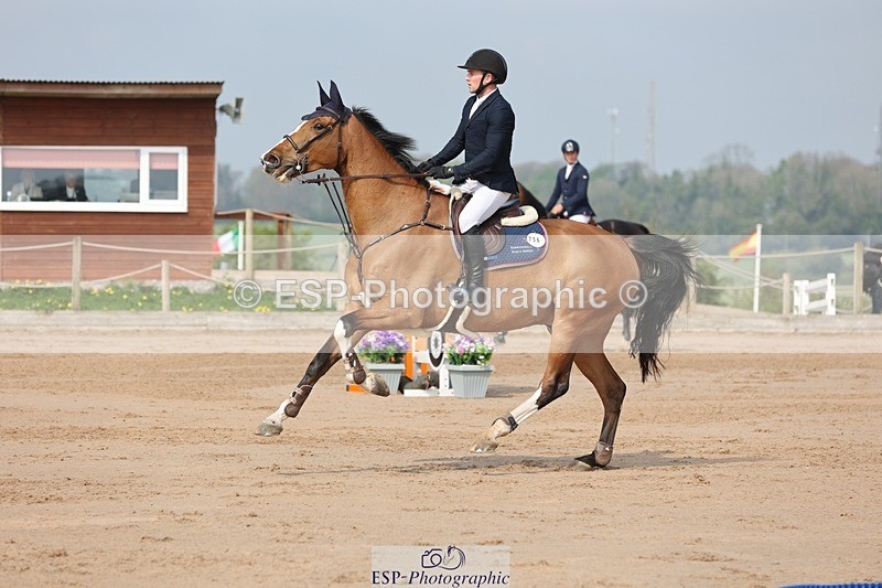 250424-103554-03118 - Cls 33 Young Horse 7yr old