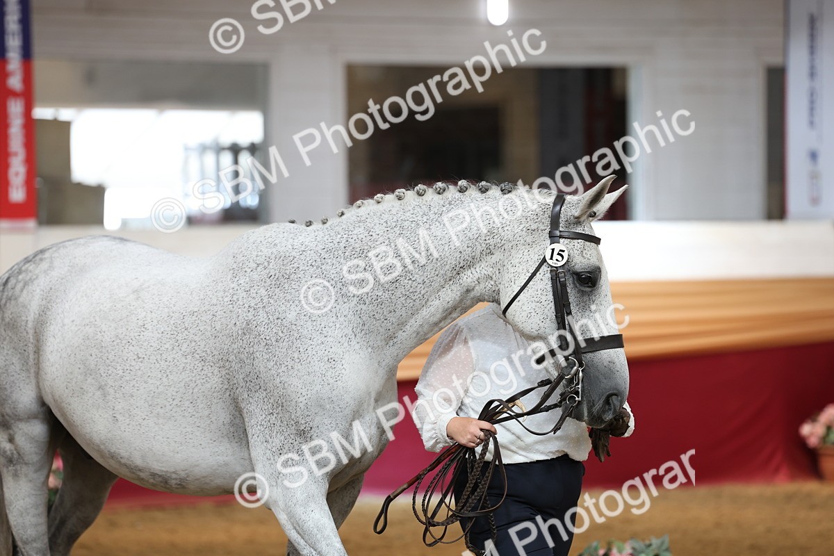 SBM_23377 - Class 903 - Supreme Final - IH Pre Vet