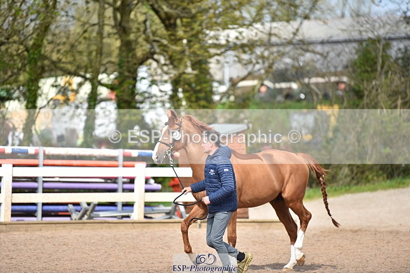 240417A-150754-00742 - 3pm to 4pm