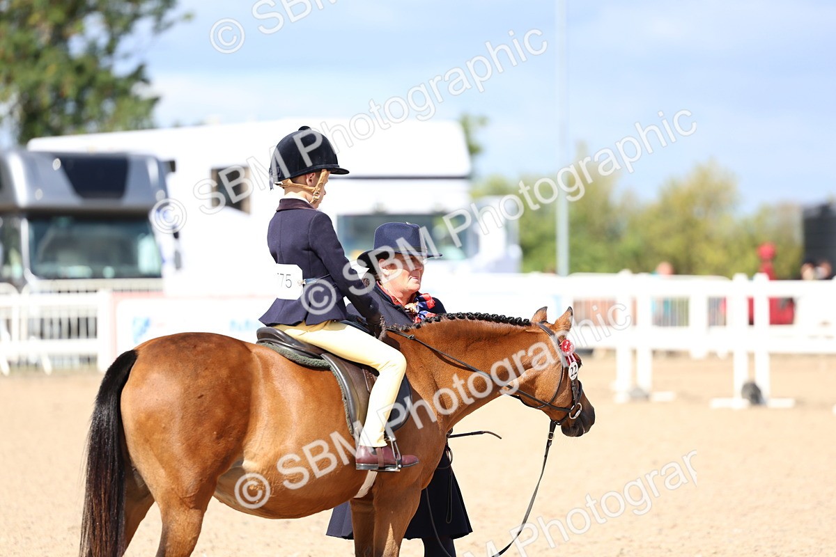 SBM_13054 - Class 309 - Lead Rein Pony