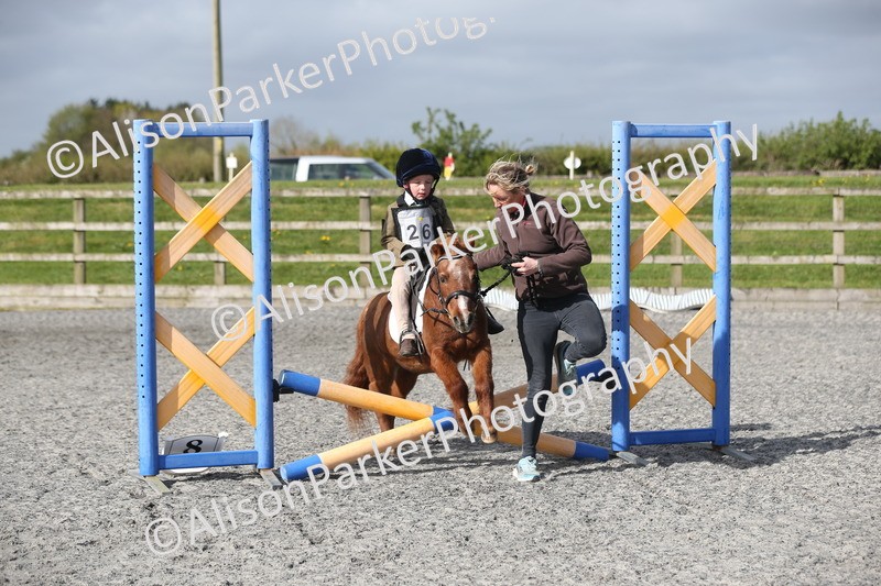 20260412-0079 - Show Jumping