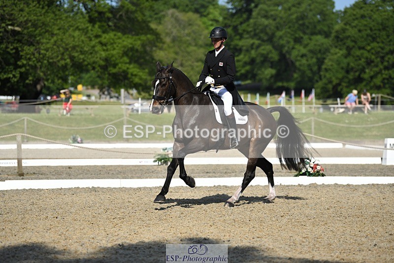 230525-094742-01665 - 309-PLOT_TWIST_B-Tom_Jackson-WEDTrotUp+DR