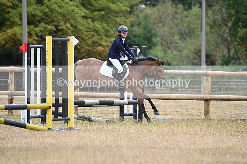 WJ6_0349 - Class 13 Novice Jumping 60cm
