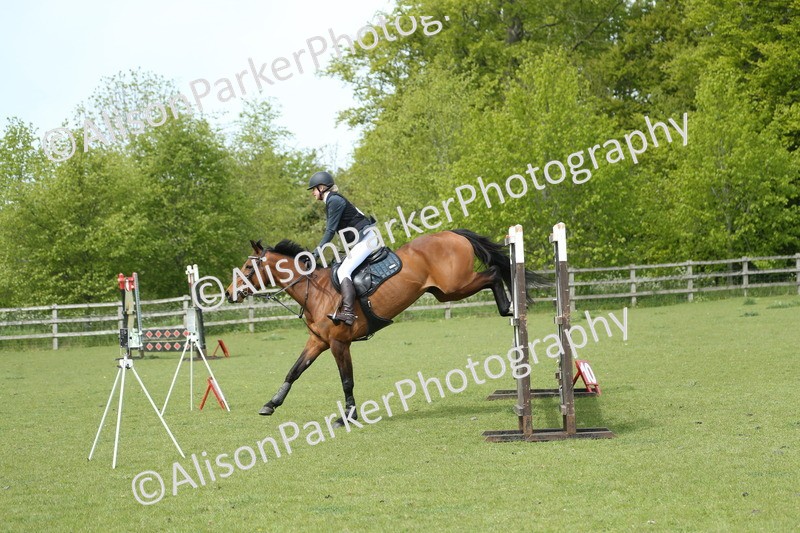 20260426-2005 - Class 15 - Absolute Novice 70cm