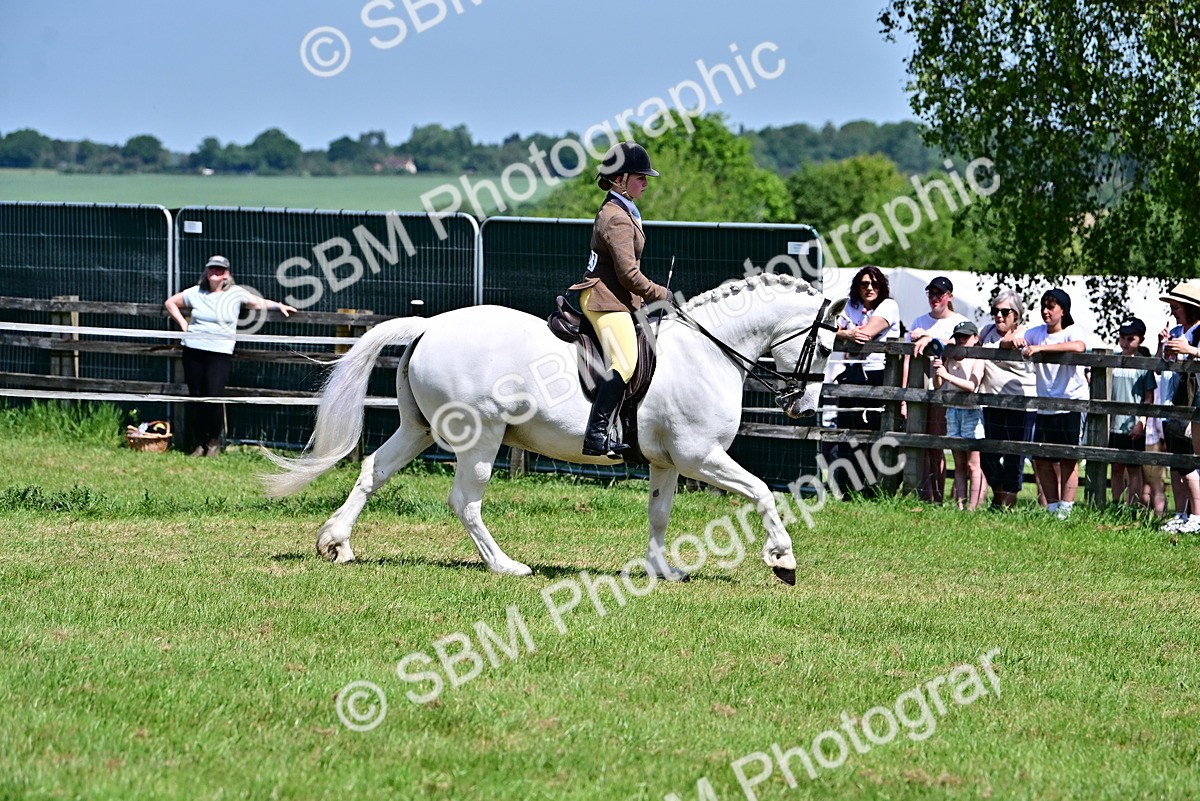 SBM_15277 - Class 95-97 - BSPS LHS Performance Ponies