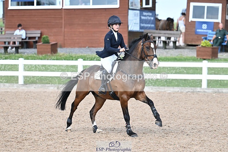 260627-174142-05815 - Cls 27 Foxhunter and 1.10m