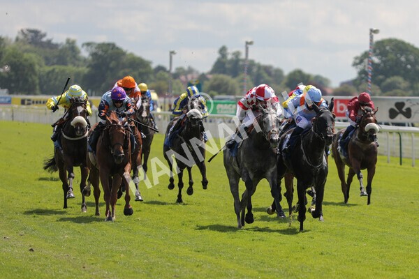 yr11062021r2-18 - Race 2 2.20pm Churchill Tyres Stakes