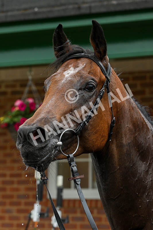 240624-Race 3-Eternal Sunshine-0238 - Race 3