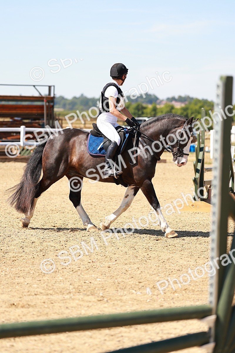 SBM_000928 - AE - 60cm