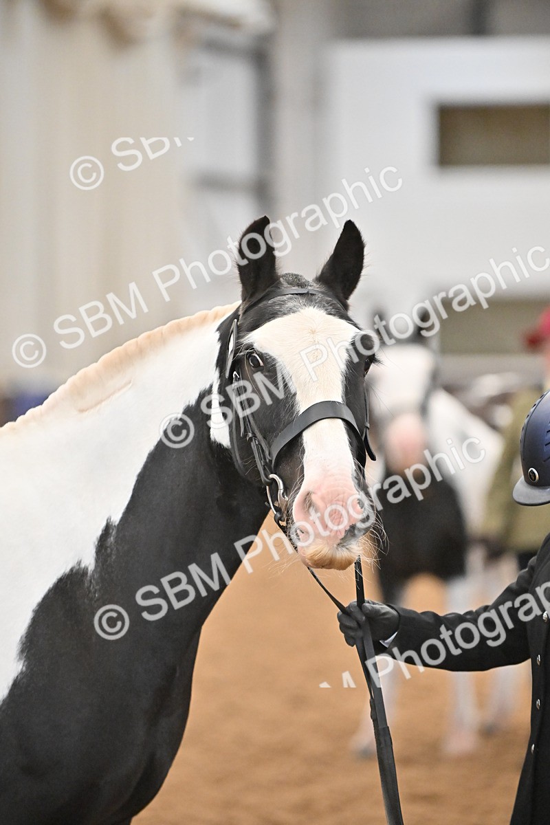 SBM_000039 - Class 1 - In Hand Cob