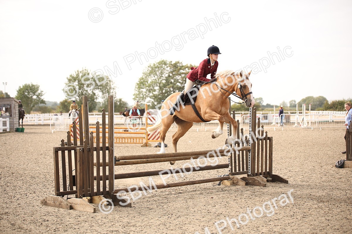 SBM_17252 - Class 410a - Wor5king Veteran 90cm (15-19)