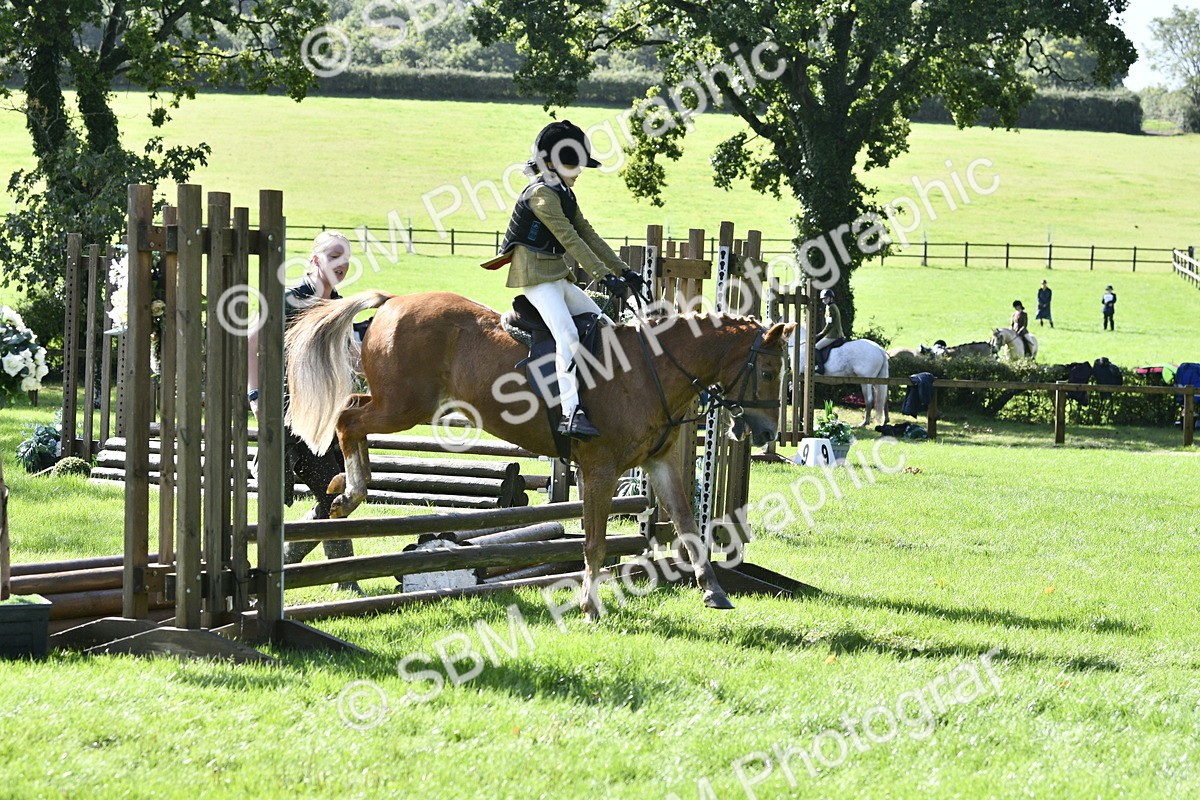 SBM_38232 - S31 - Novice & Newcomer Working Hunter Pony