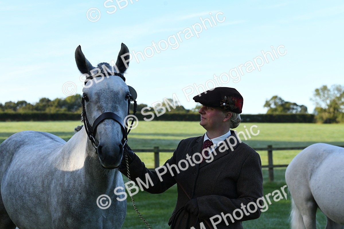 SBM_32731 - S15 - Condition & Turnout In Hand