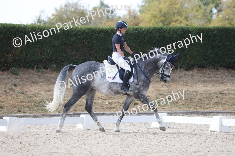 20260815-1006 - Class 5 - Novice 1