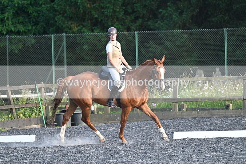 WJ7_0264 - Time 19:38 to 20:00