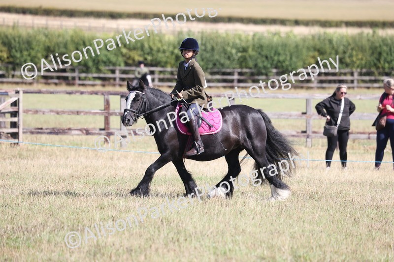 20260906-2171 - Class 16 - Family Pony