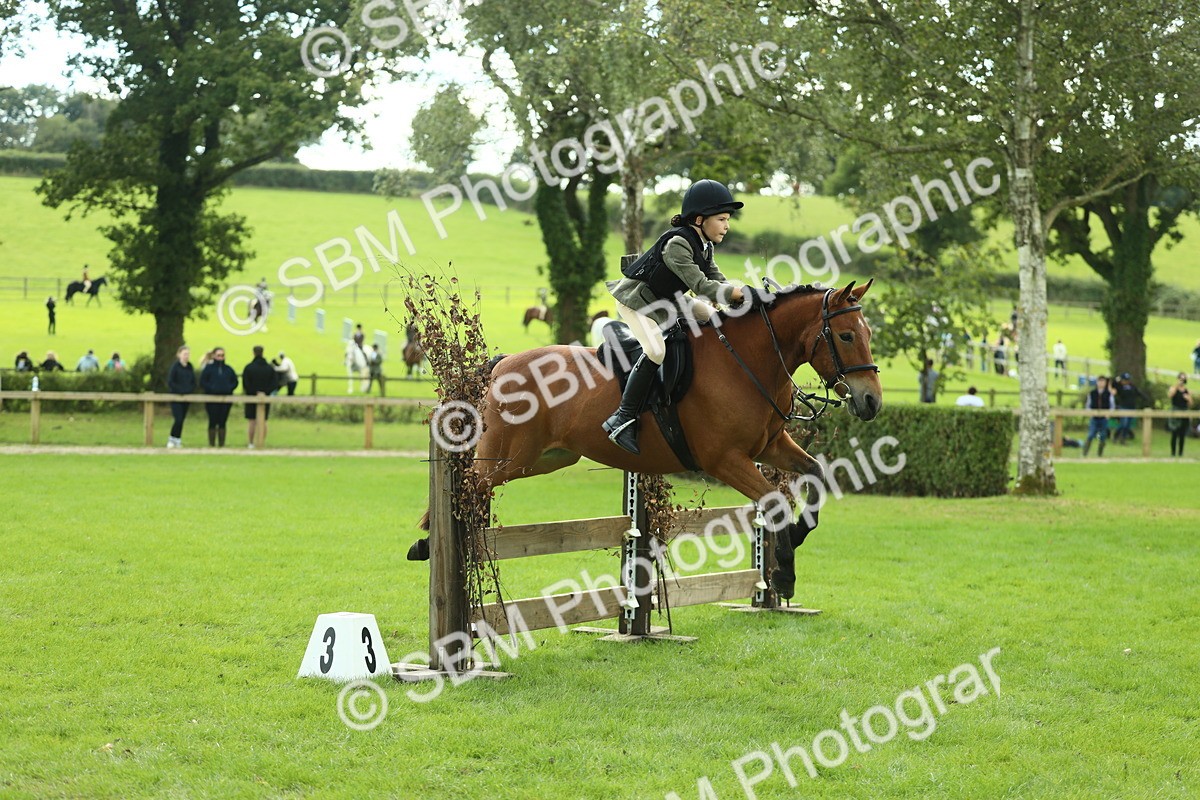 SBM_44609 - S31 - Working Hunter Pony
