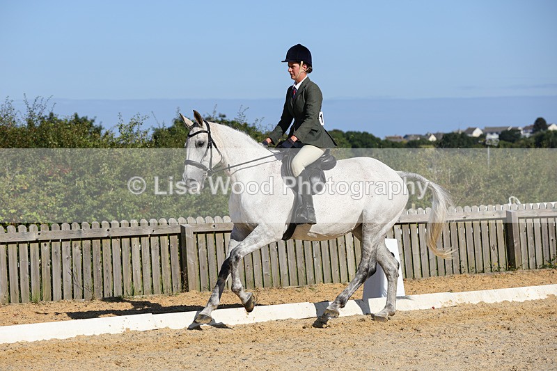 1X9A7794 - Class 9: Open Ridden Hunter