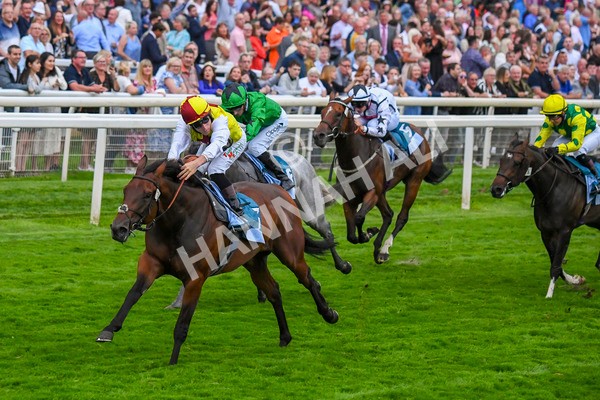 280723-Race 7-Knebworth-0791 - Race 7 8.20pm Sky Bet Go-Racing-In-Yorkshire Summer Festival Handicap