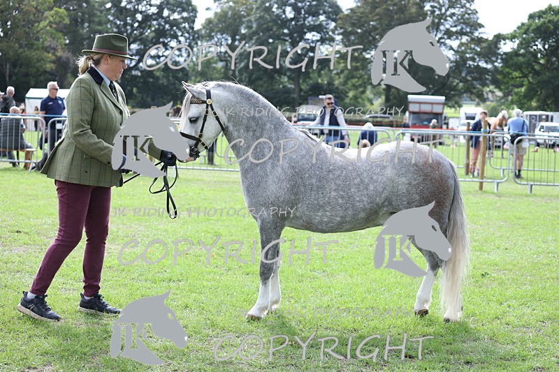 APP_2944 - Class 10a/b M&M in hand