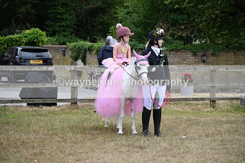 WJ6_9110 - Class 11 Fancy Dress