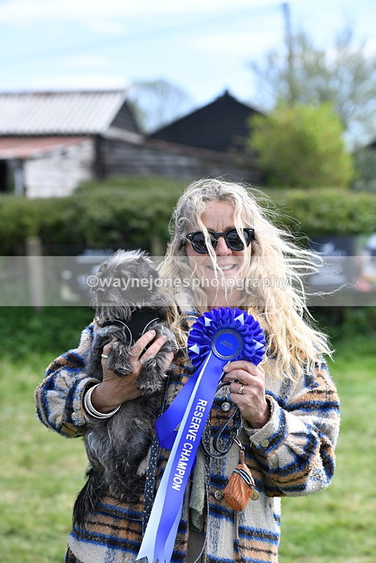 WJ5_0817 - Best in Show Championship