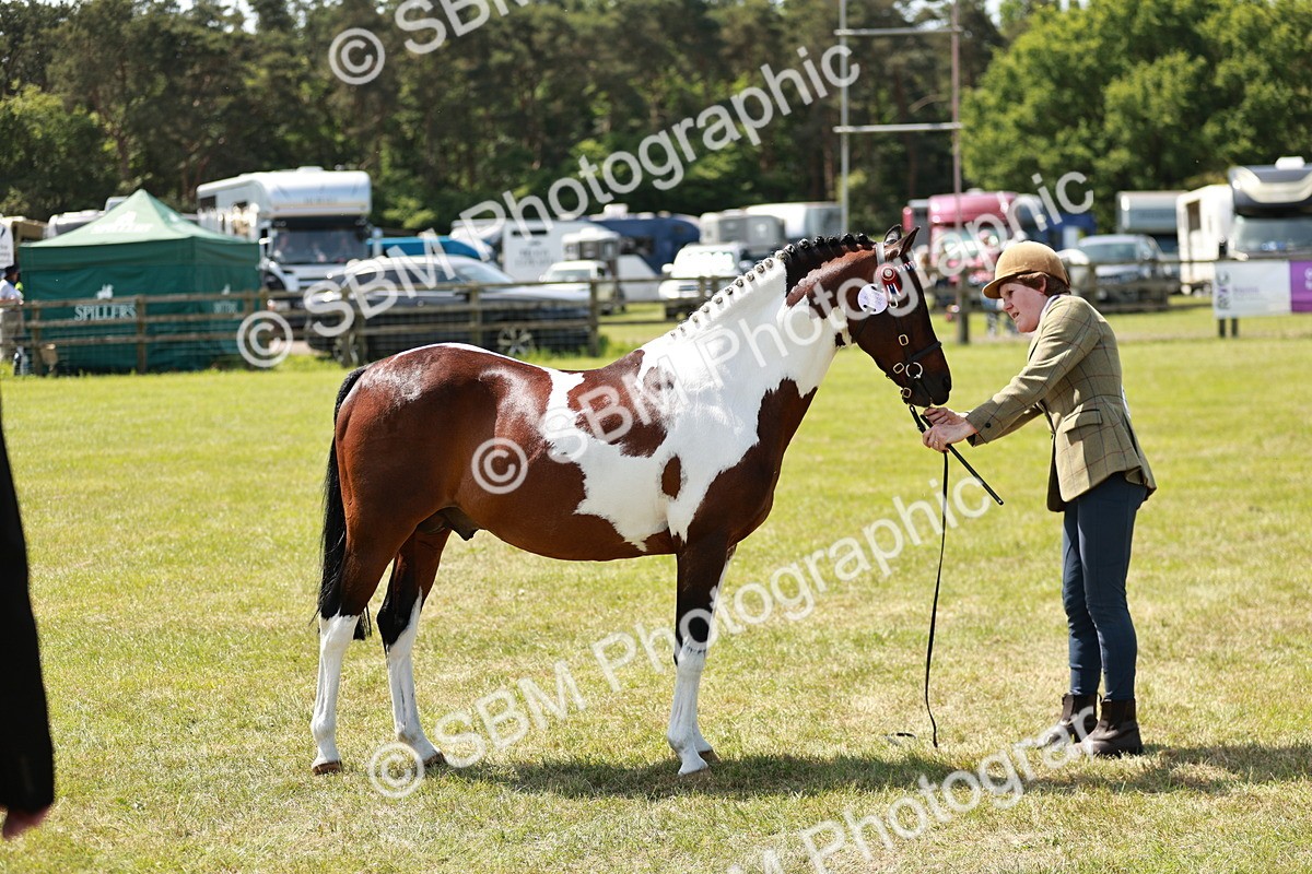 SBM_05446 - Class 39-40 - BSPA Coloured In Hand