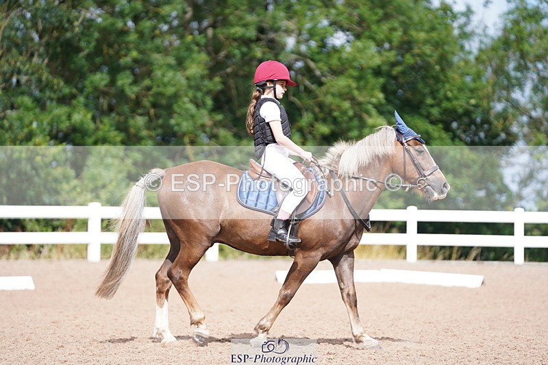 240809A-104850-00669 - Dressage Competition