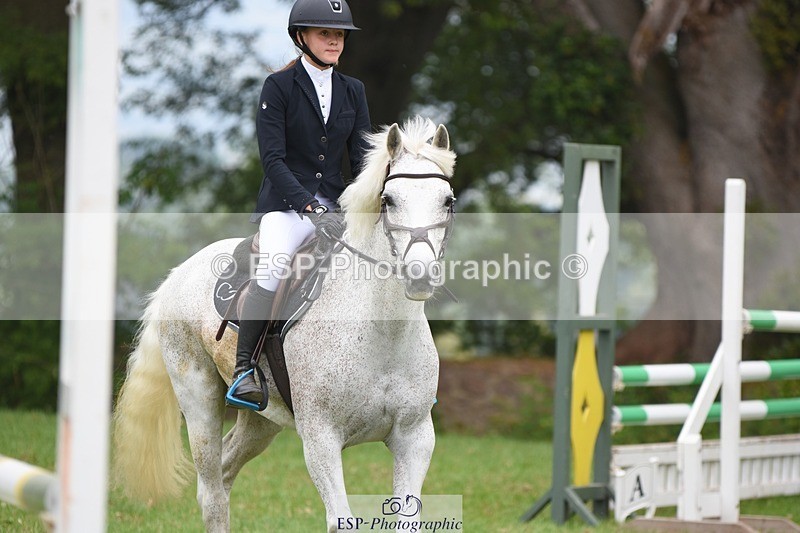 230618-105314-10579 - Cls 28 British Novice & 80cm Open