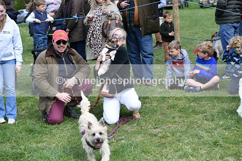 WJ5_0543 - Class 7 Best Terrier