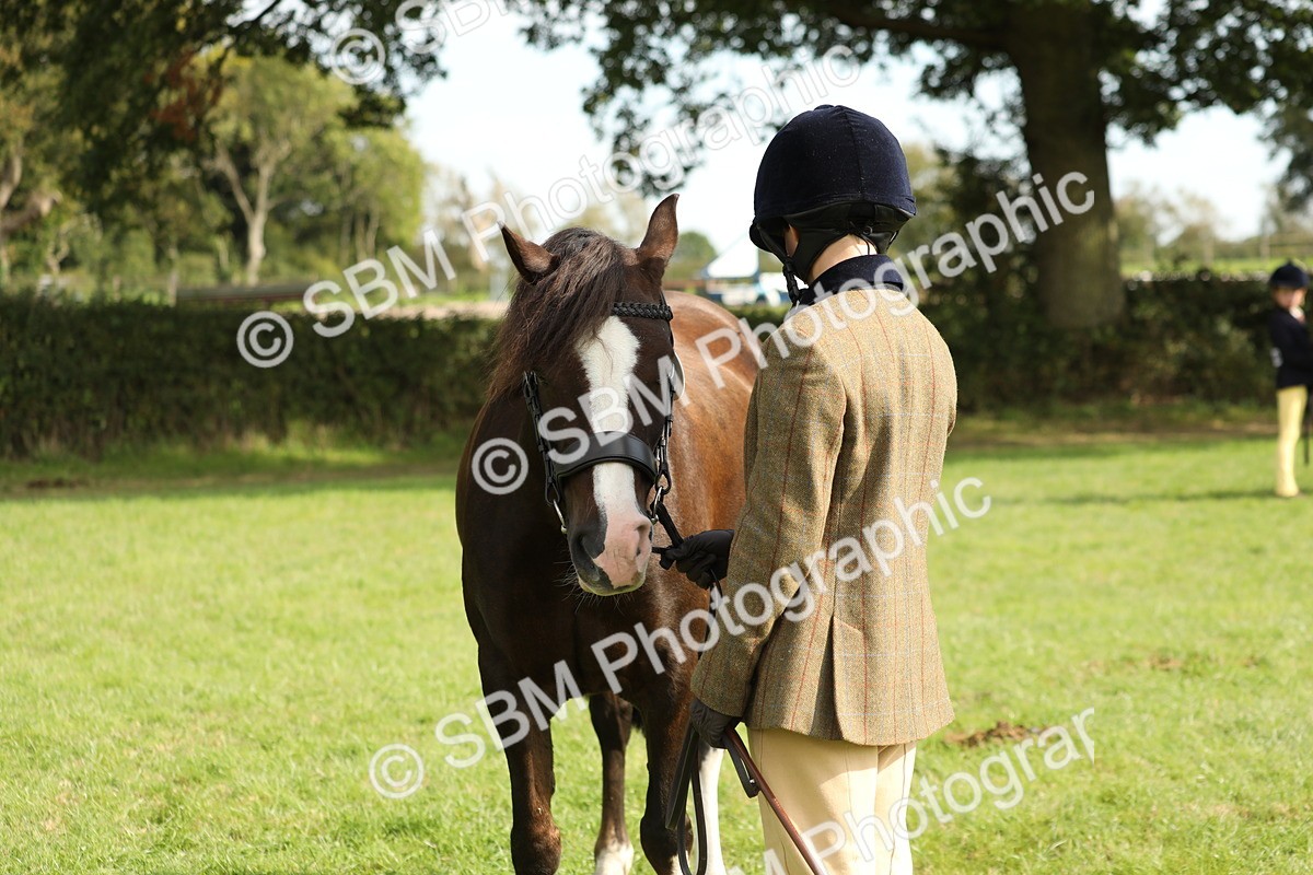 SBM_68634 - S40 - Junior Handler 9-12 Years