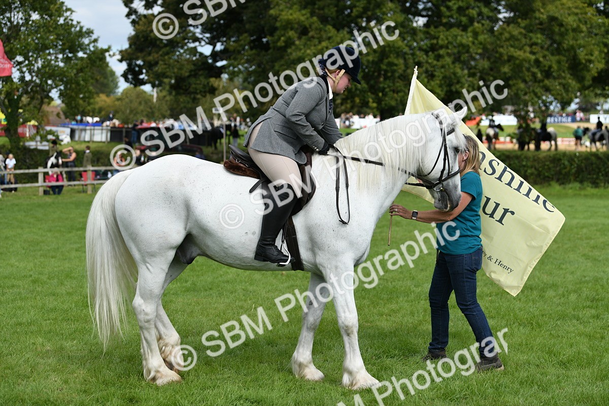 SBM_46902 - S12 - Family Horse & Pony