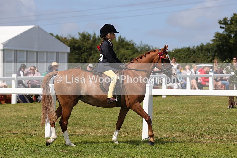 1X9A3873 - Class 31: Show Pony 148cm and under