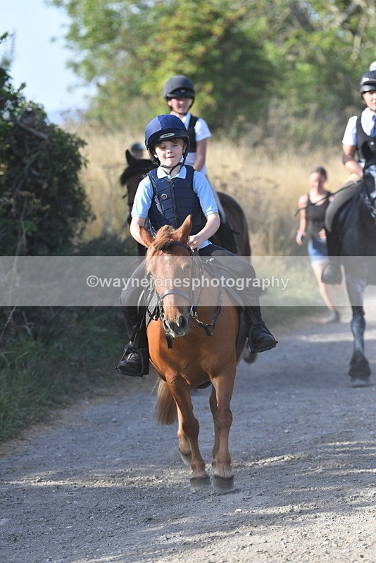 WJ5_5035 - Walk out with the hounds