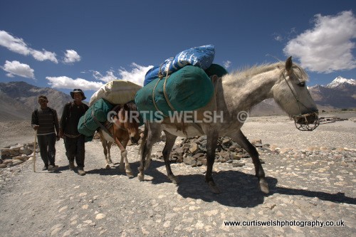 42 - LADAKH - INDIA